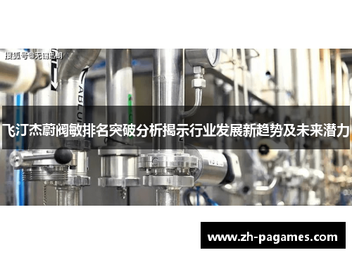 飞汀杰蔚阀敏排名突破分析揭示行业发展新趋势及未来潜力